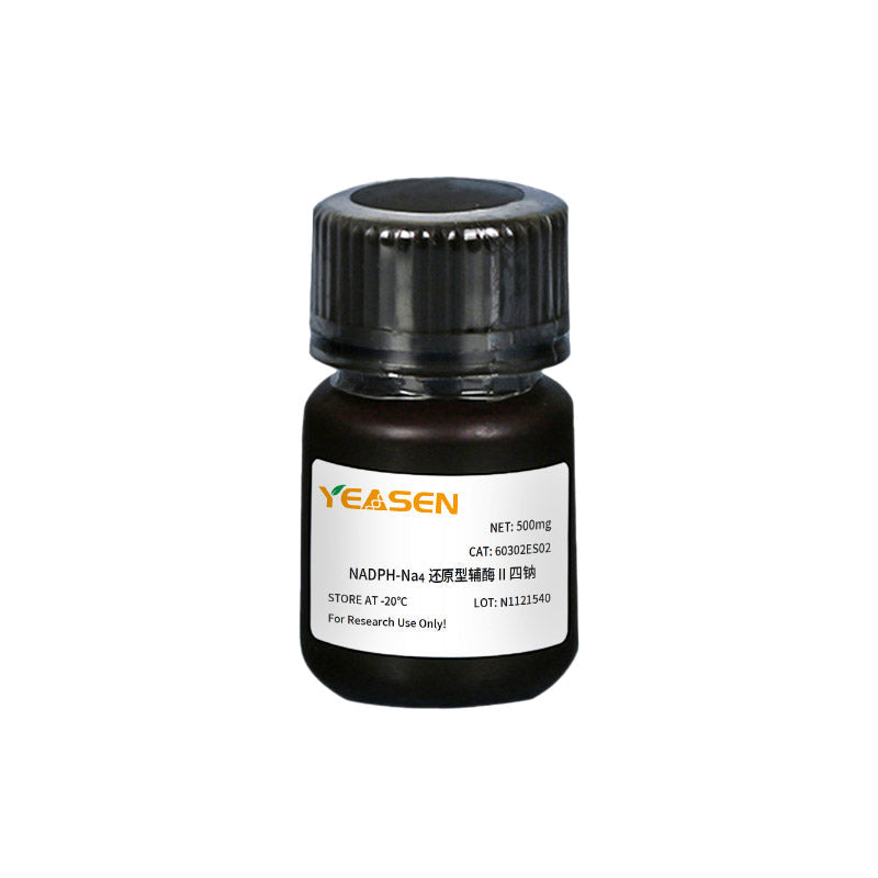 NADPH-Na4 25mg NADPH-Na4 25mg